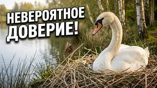 СПЛОШНЫЕ СЮРПРИЗЫ...