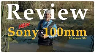 Sony 100mm Macro Lens Field Test