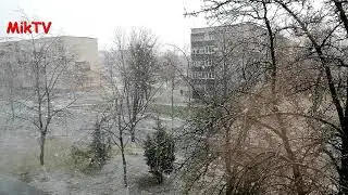 Падал первый снег (MikTV)