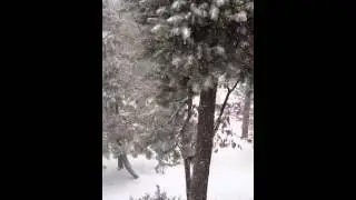 A little snow.