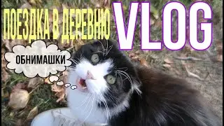 ВЛОГ Поездка в деревню / Общение с котом / VLOG