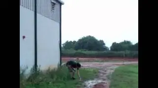 Homemade Fireworks Shit