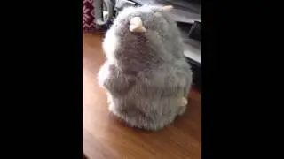 Игрушка из ада)