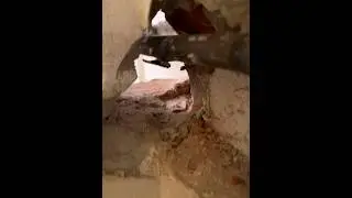 Не прячу в нишу, а наоборот🤪🤪🤪