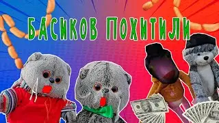 БАСИКИ / БАСИКОВ ПОХИТИЛИ / БАСИКИ УБЕЖАЛИ ОТ ПОЛИНЫ 