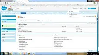 Salesforce Data Manipulation using Python