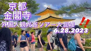 【京都•金閣寺】外国人観光客ツアー ‼️ほぼ| 大混雑で動画中々撮りないくらい外国人多い⚠️|Famous Tourist |GOLDEN  PAVILION in KYOTO | 6.28.2023