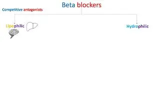 Introduction into Beta Blockers - in Arabic