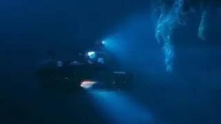 Mystery tracks have been discovered at the bottom of the Great Blue Hole