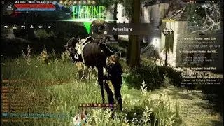 Black Desert Life with no SSD