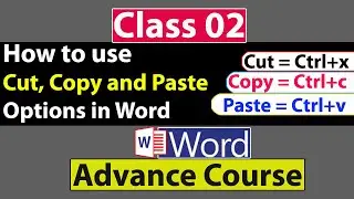 How to use Cut, Copy and Paste Options in Ms Word in Urdu - Class No 02