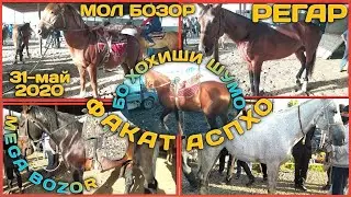Мол бозор / Нархои аспхо бо хохиши ШУМО. АСП ва Хар 31-май 2020