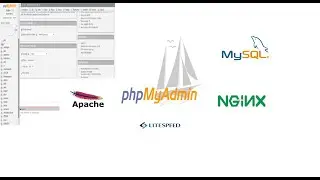 How to install phpMyAdmin in webserver
