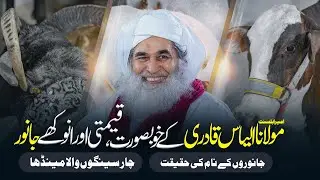Maulana Ilyas Qadri Ke Ghar Qeemti Janwar | Bakra Eid Special Program | Eid ul Adha | Qurbani Masail