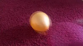 Colorful balloons pop