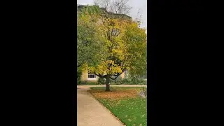 Oxford Botanic Garden