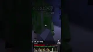 Da Boys play Duck Duck Goose in a Minecraft Horror Maze
