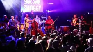 Wildcats Of Kilkenny | E-I-O | Stockton