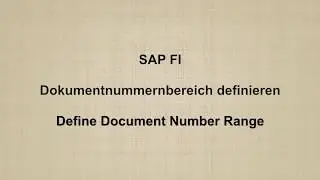 SAP FI -  Define Document Number Range