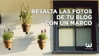 Agrega un borde alrededor de una imagen en una entrada o página de WordPress