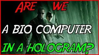 Are We a Bio Computer living in a hologram?