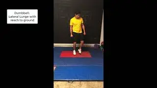 DB lateral lunge to reach to ground