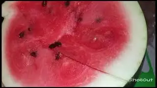 Готовлю на зиму и на каждый день 😋 Квашеные огурчики 😍 Наше летнее меню 🤗