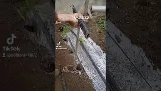 19 березня 2024 р.