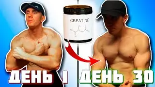 Я ПРИНИМАЛ КРЕАТИН 30 ДНЕЙ… Вот что изменилось ⚡ (ВСЯ ПРАВДА!)