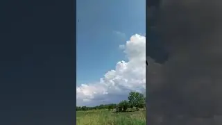 Окружен ласточками )