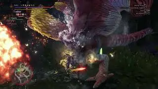 Puki puki vs rock - Monster Hunter World