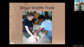 PVM Global Perspectives Online Series: Dr. Amanda Salb on Wildlife Medicine and Rescue