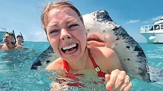 10 Friendliest Animals Around The World