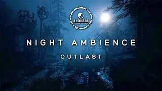 Windy Landscape Wind Sound Effect | Cozy Ambience | Night Ambience | Virtual Field Recording