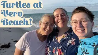 Turtle Nests at Vero Beach!