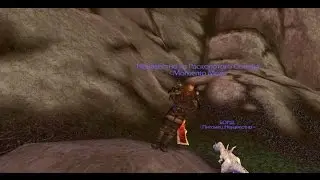 World of Warcraft 3.3.5a Hunter MM (PVE) ЦЛК 25хм [Орк]