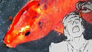 Quello che NON SAI sui PESCI ROSSI