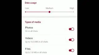 Automatic Media Download settings let you decide ... Telegram Tips