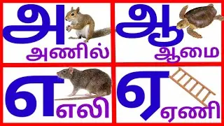 உயிர் எழுத்துக்கள்|அ ஆ இ ஈ அரிச்சுவடி| learn Tamil alphabet letters|tamil ueir ezuthukkal|prinit