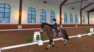 Brass but with SSO horses- star stable edit
