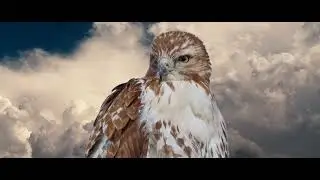 Magic Mask - Davinci Resolve 18.6.6 build 7