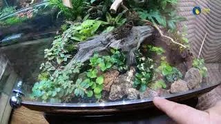 Эволюция Кашкарова. Ч2