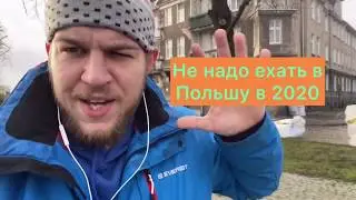 Не надо ехать в Польшу. Правда от Дениса Гона