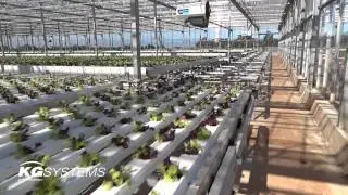 KG Systems - Gutters on containers