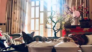 Miu.