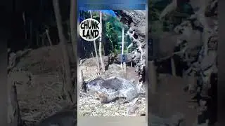Welcome to Chunk Land Baby Cheeks Chunk!