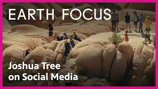 What Joshua Tree's Social Media Presence Means for Tourism | Earth Focus