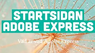 Startsidan i Adobe Express #aftereffects #aftereffectstutorial #adobeexpress #create