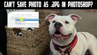 Can’t Save Photos in jpg or png in Photoshop?