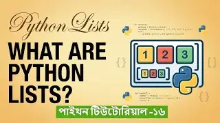 PYTHON Lists Basics You Need to Know
